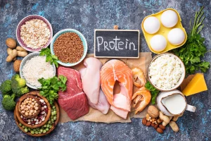 optimum nutrition protein supplements
